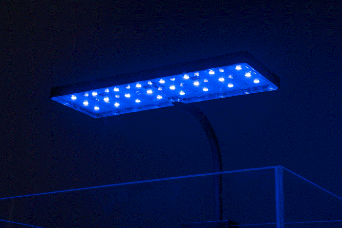 AquaWorx EOS Nano Tank LED Light | Shop Aquarium Lighting - Glass Aqua