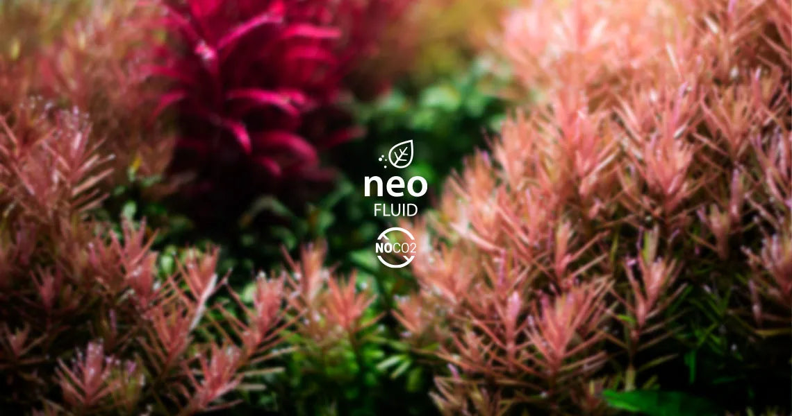 Aquario Neo Fluid Low-Tech Aquarium Fertilizer