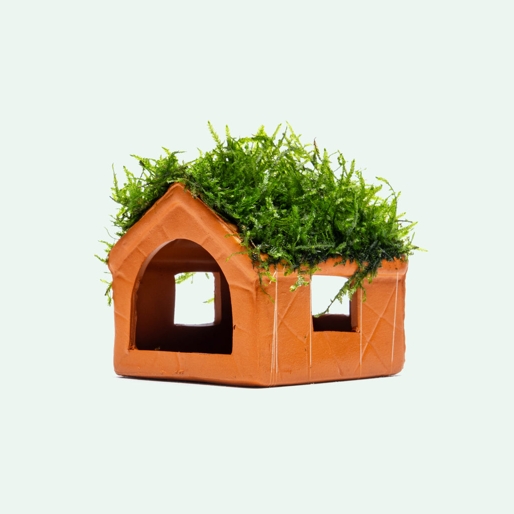 Aquarium Moss Shelter in house style for freshwater aquariums
