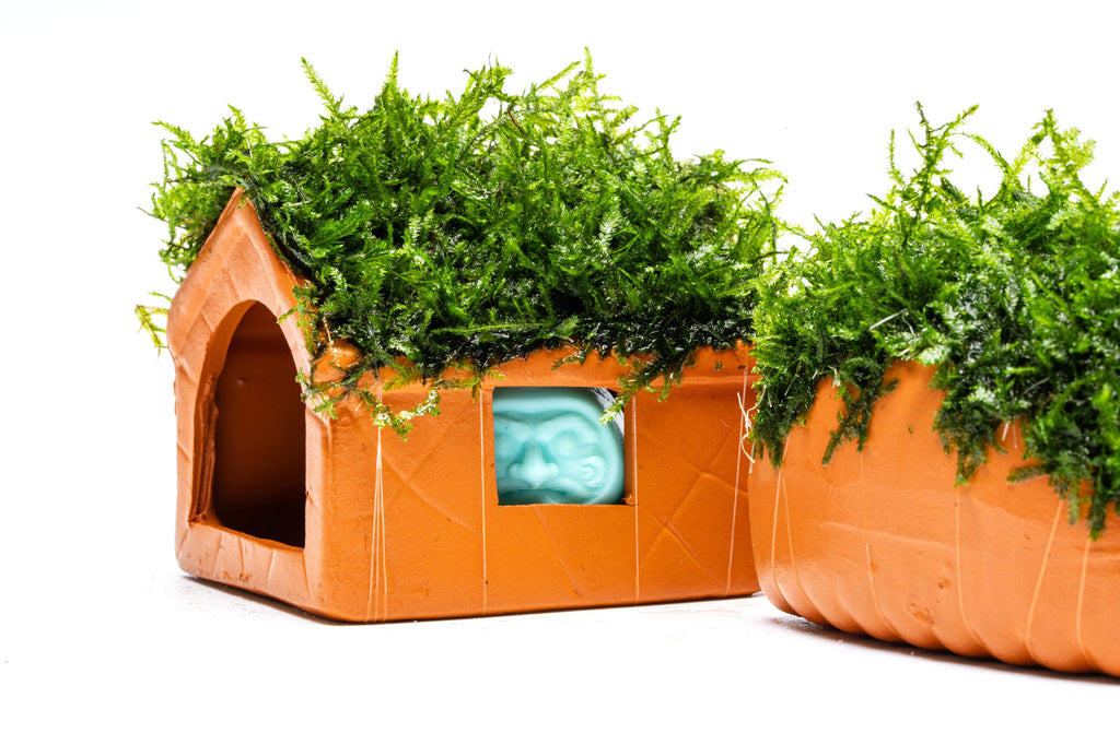 Close-up photo of aquarium moss shelter showing color and moss details