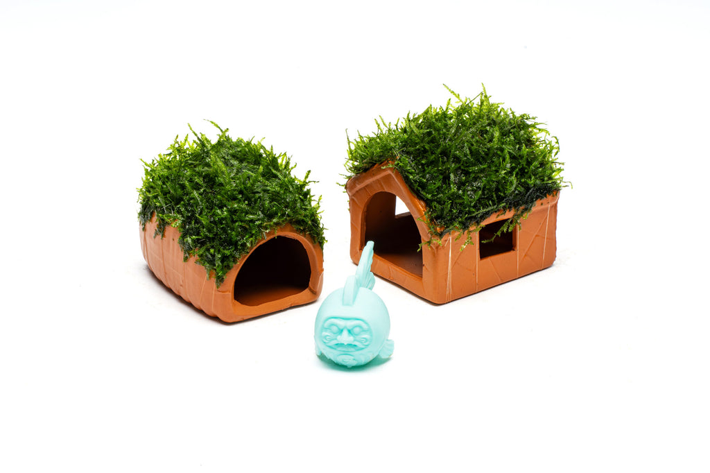 Aquarium Moss Shelters in two styles photographed next to Genki Koi Fish for scale