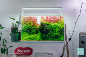 Colorful Brazilian Iwagumi aquascape by Glass Aqua in the Ultum Nature Systems 45U standard rimless aquarium