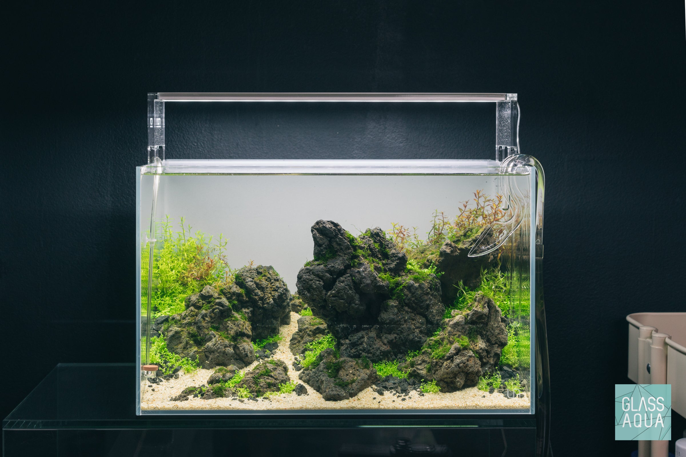 Aquarium stem plants 1 month growth in Brazilian style Iwagumi aquascape by Glass Aqua