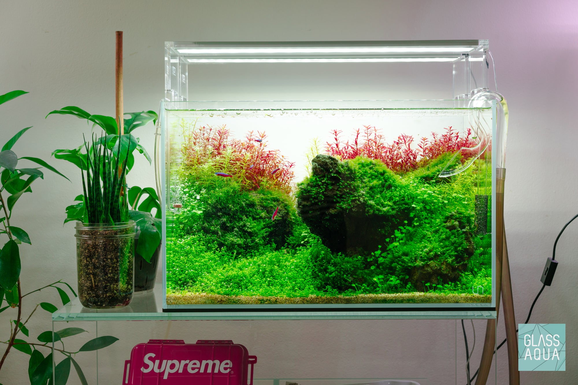 Brazilian Style Iwagumi planted aquarium by Glass Aqua