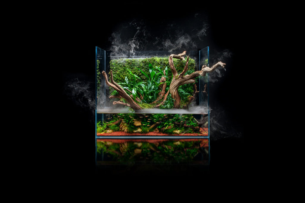 Build Your Own Integrated Paludarium Kit - Glass Aqua