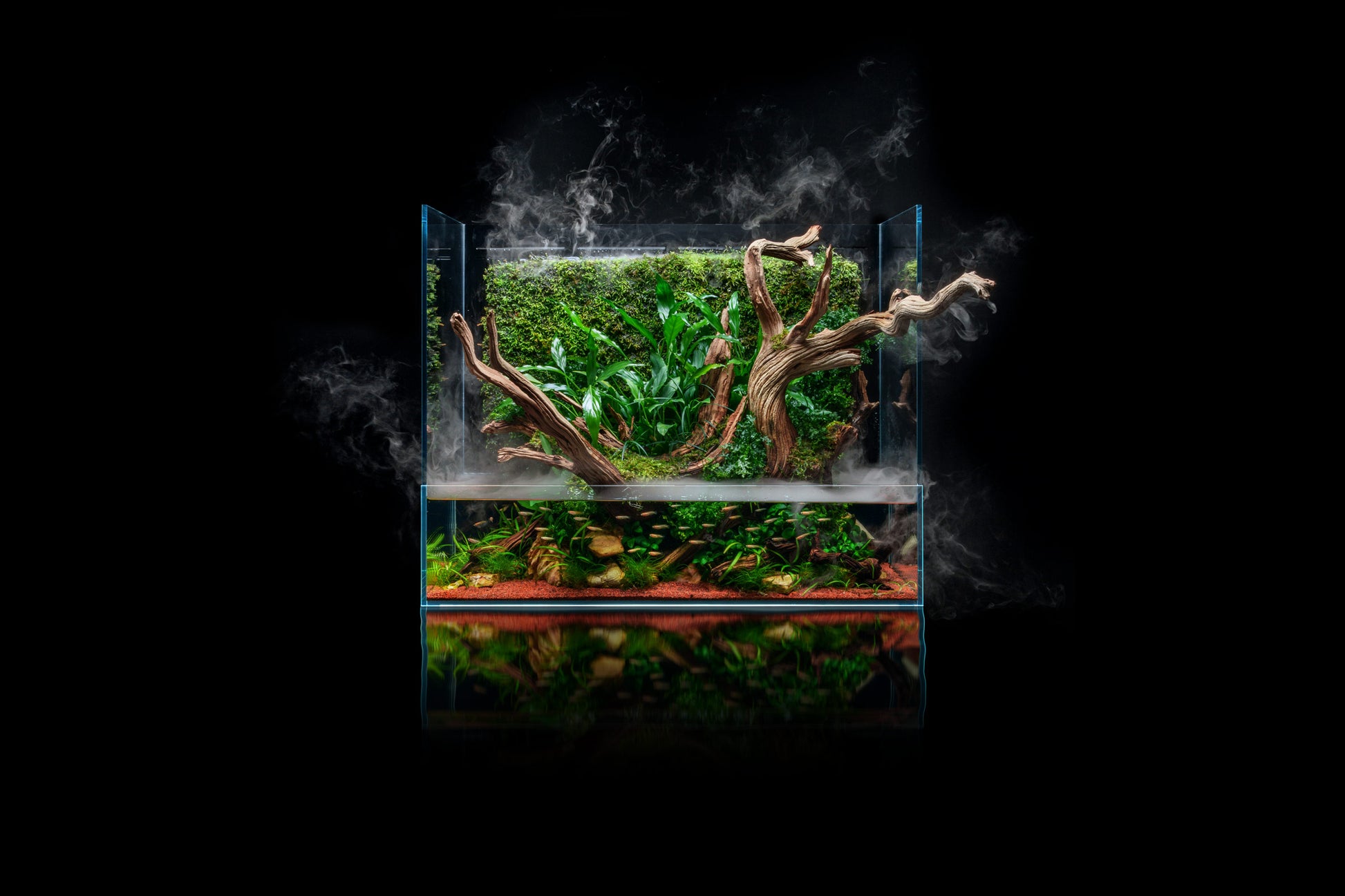 Build Your Own Integrated Paludarium Kit - Glass Aqua