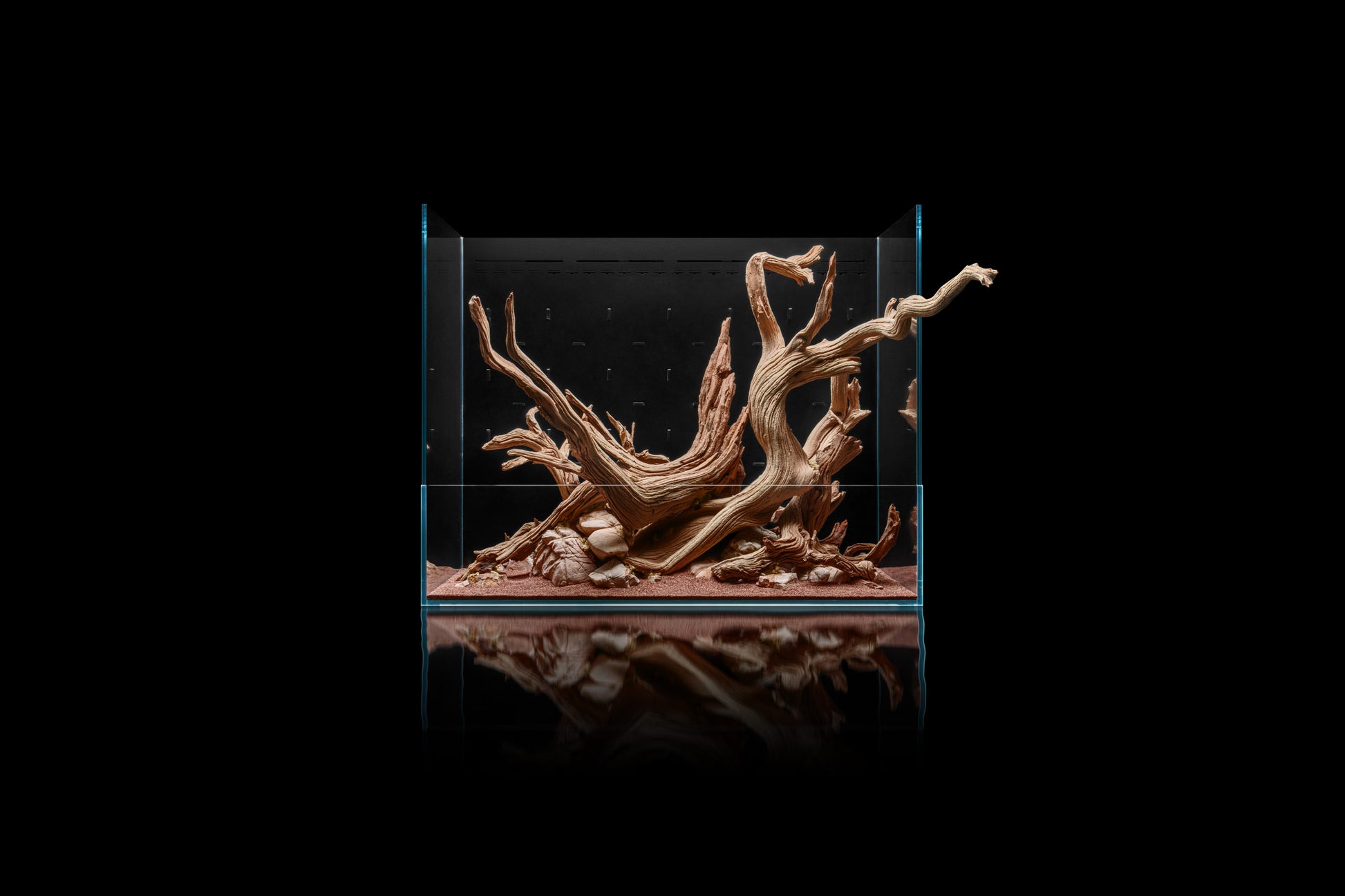 Build Your Own Integrated Paludarium Kit - Glass Aqua