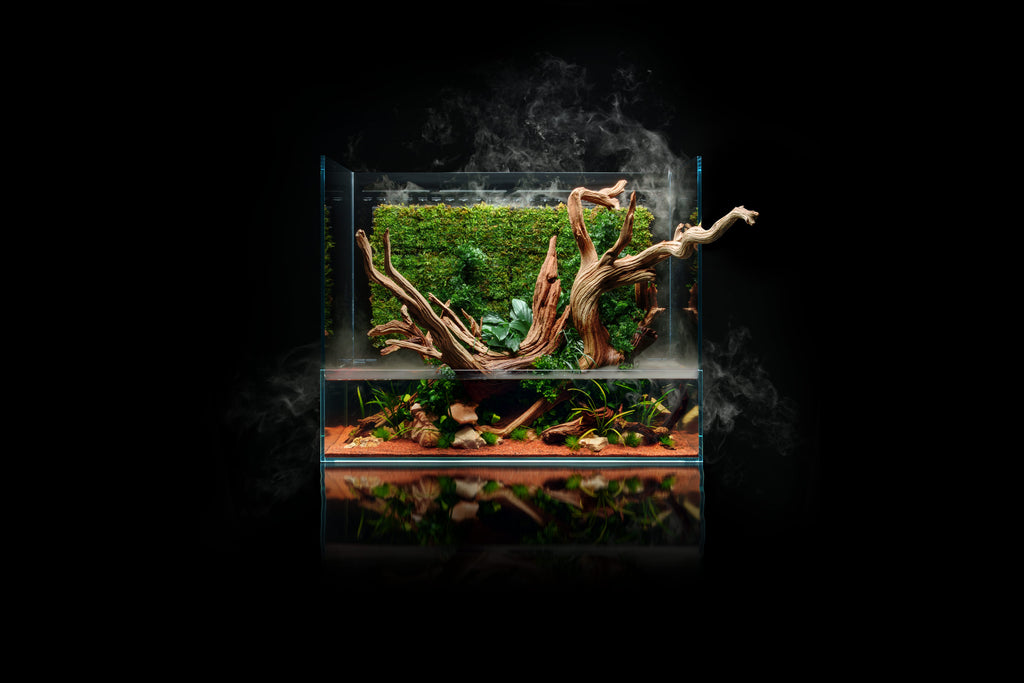 Build Your Own Integrated Paludarium Kit - Glass Aqua