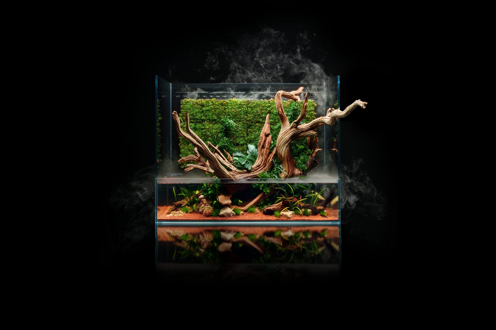 Build Your Own Integrated Paludarium Kit - Glass Aqua
