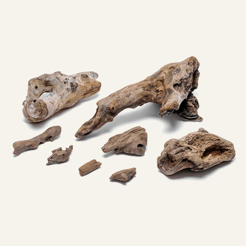 Accent Driftwood
