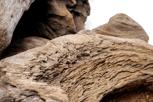 Accent Driftwood