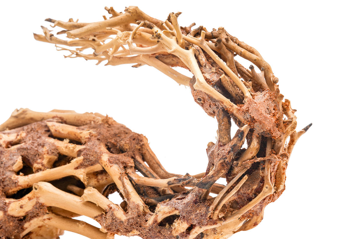Ultum Nature Systems UNS Bonsai Tree Driftwood Aquarium Hardscape Wood  001