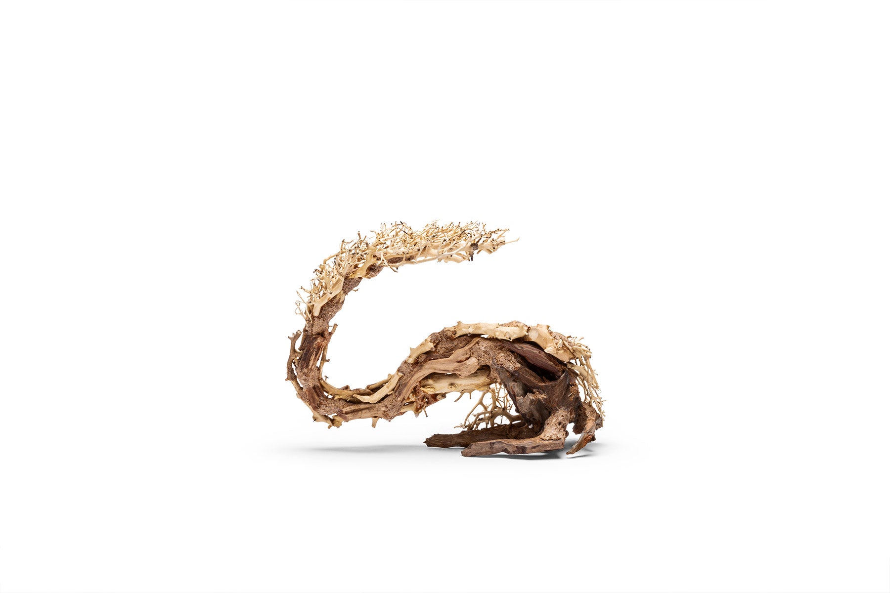 Ultum Nature Systems UNS Bonsai Tree Driftwood Aquarium Hardscape Wood  001