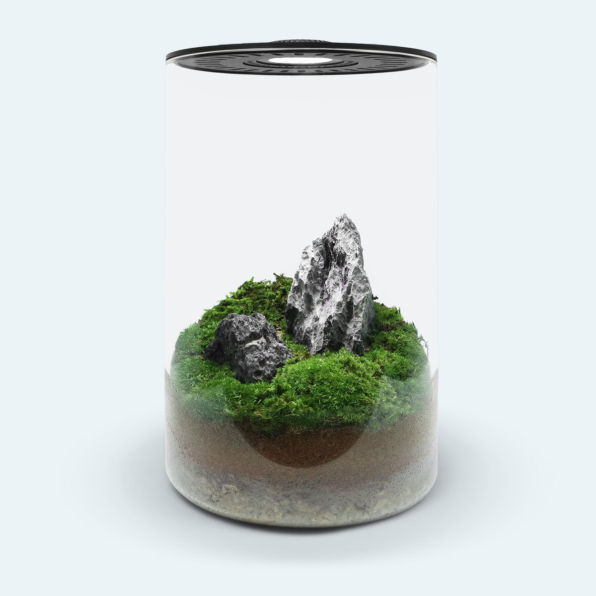 Bio Cylinder Terrarium - DIY Terrarium Kit, Planters | Shop Glass Aqua