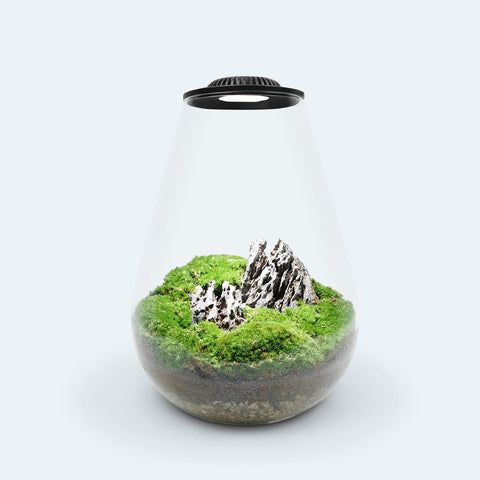 Bio Bowl Terrarium - DIY Terrarium Kit, Planters | Shop Glass Aqua