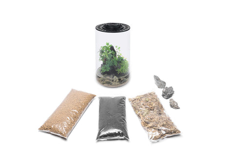 Bio Cylinder Terrarium - DIY Terrarium Kit, Planters | Shop Glass Aqua
