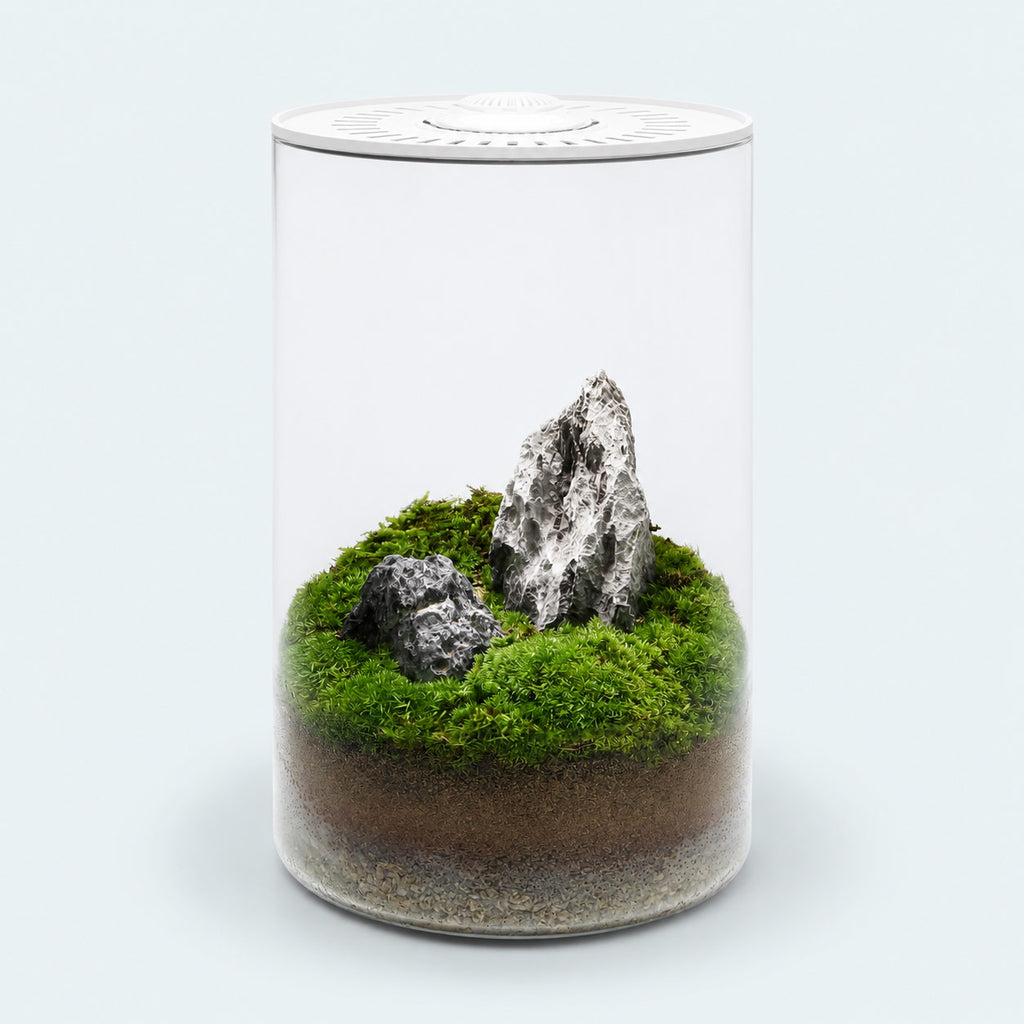 Bio Cylinder Terrarium