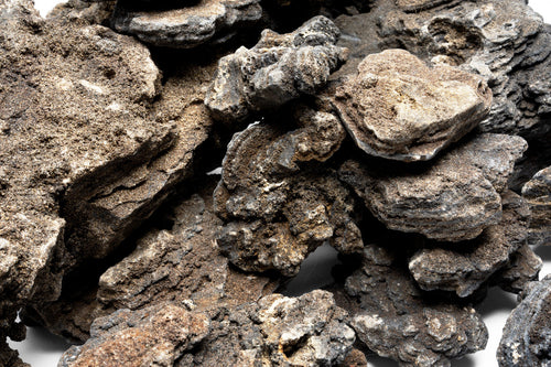 Close-up photo of Black Ridge Stone showing stone texture and color