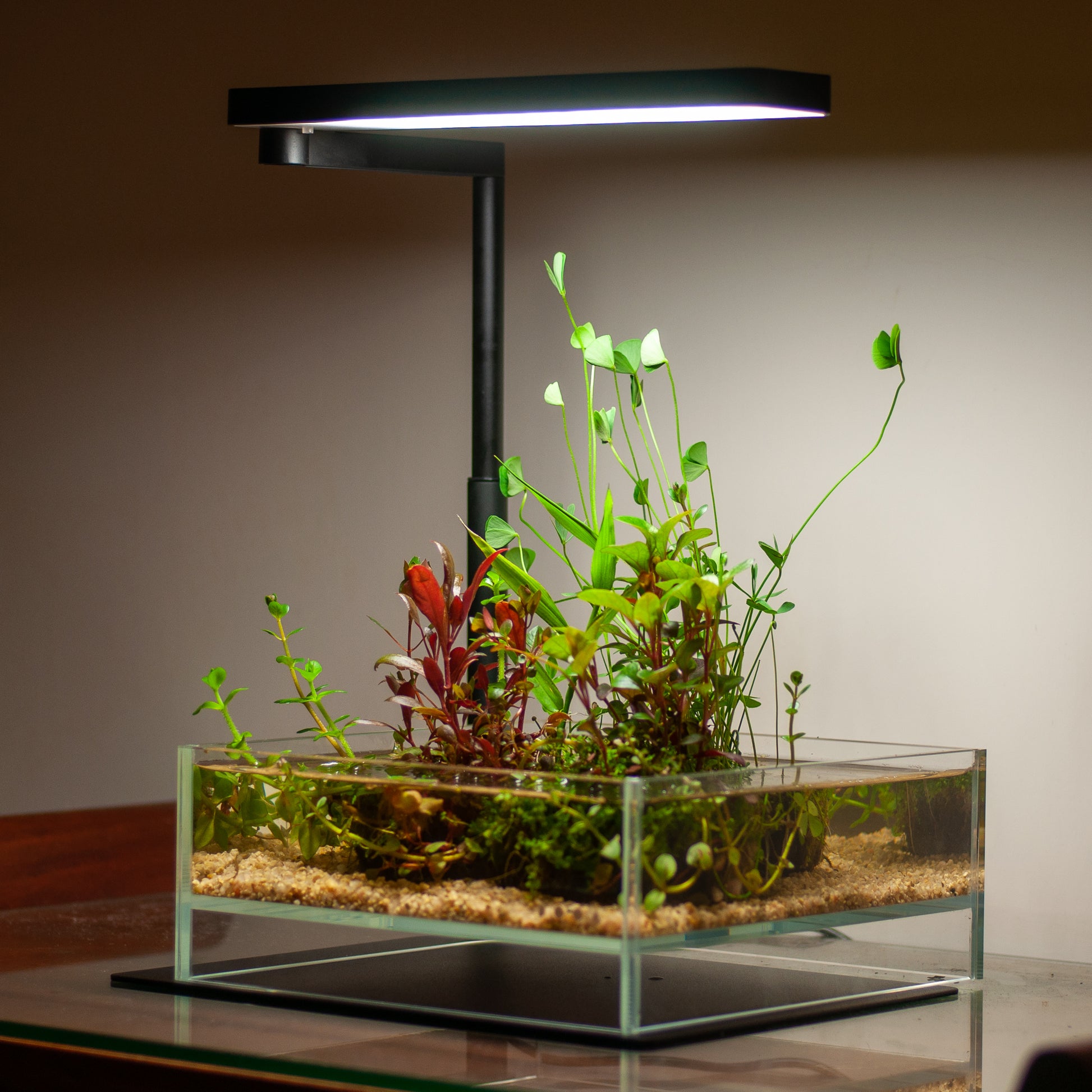 Chihiros LED Light - CII Series - Glass Aqua
