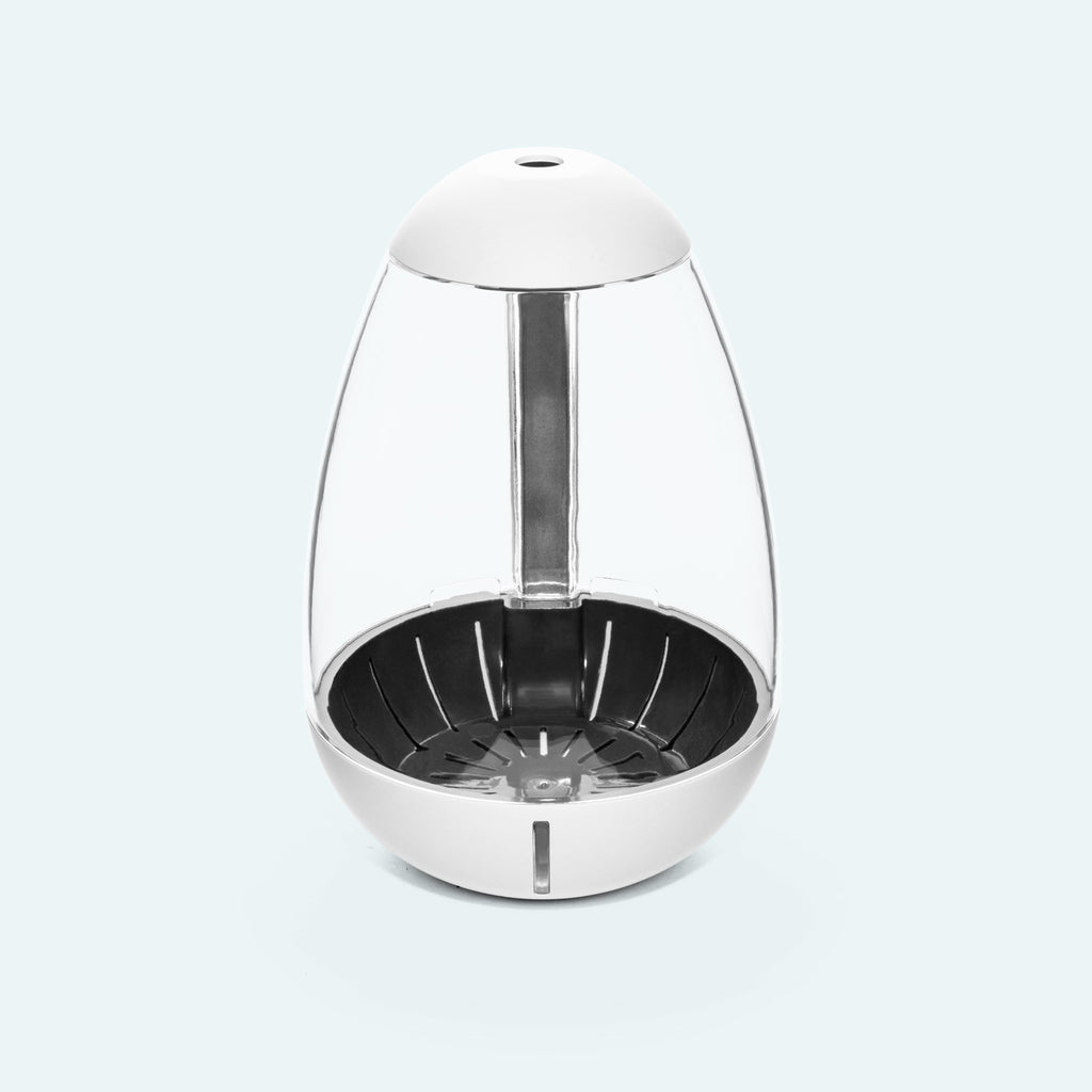Chihiros Tiny Terrarium Egg