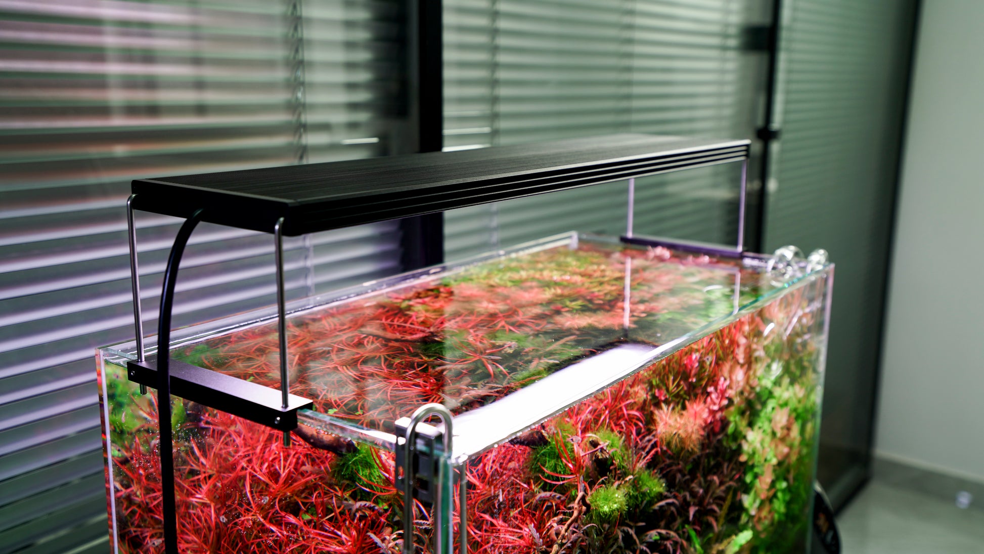 Chihiros LED Light - WRGB II Pro - Glass Aqua