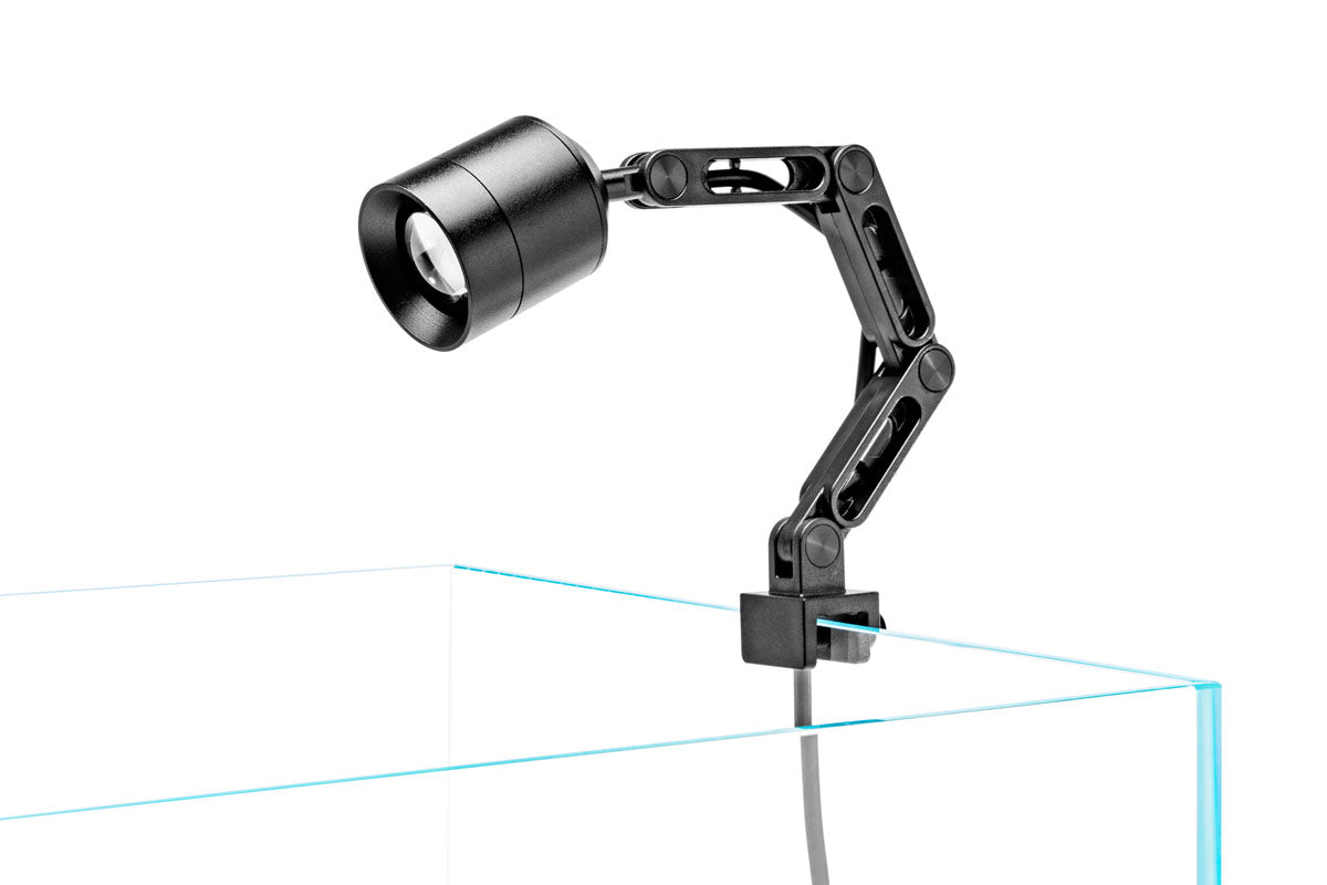 Chihiros LED Light - Z Light Tiny | Terrarium & Planted Tank Lighting