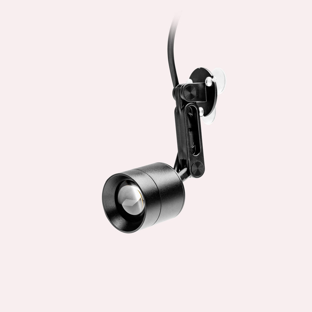 Chihiros LED Light - Z Light Tiny | Terrarium & Planted Tank Lighting