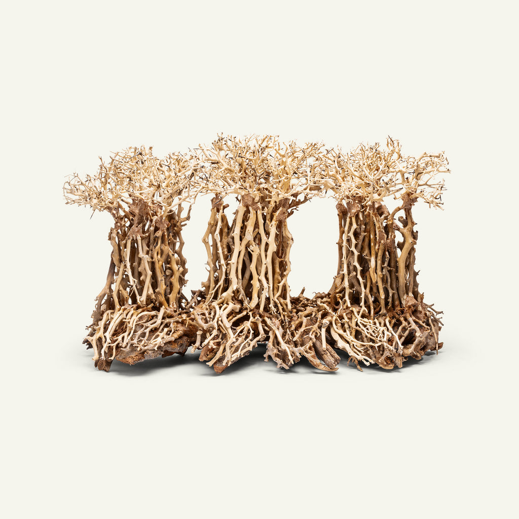 Ultum Nature Systems UNS Bonsai Tree Driftwood Aquarium Hardscape Wood 005