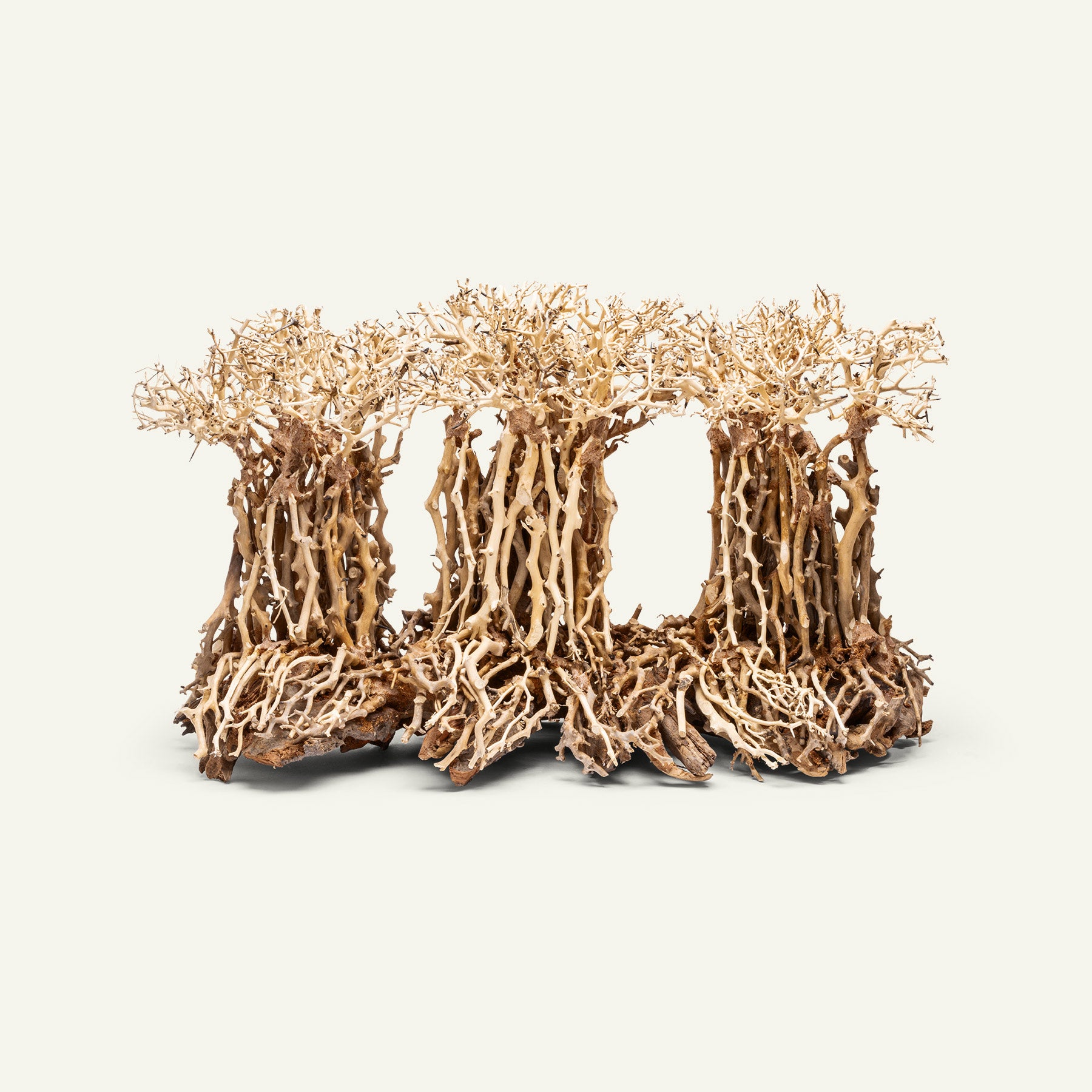 Ultum Nature Systems UNS Bonsai Tree Driftwood Aquarium Hardscape Wood 005