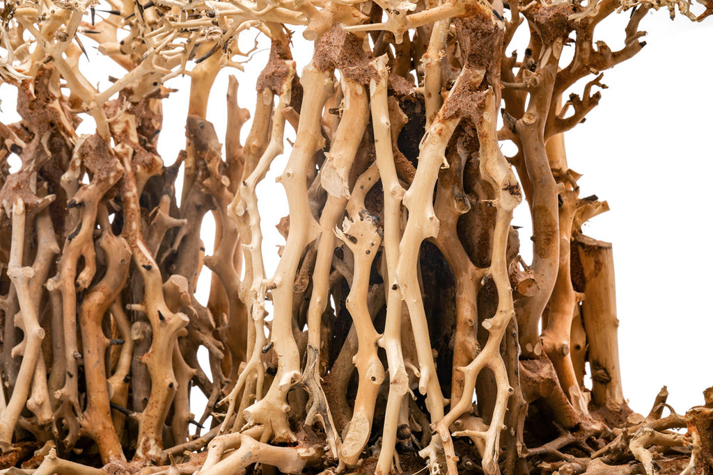 Ultum Nature Systems UNS Bonsai Tree Driftwood Aquarium Hardscape Wood 005