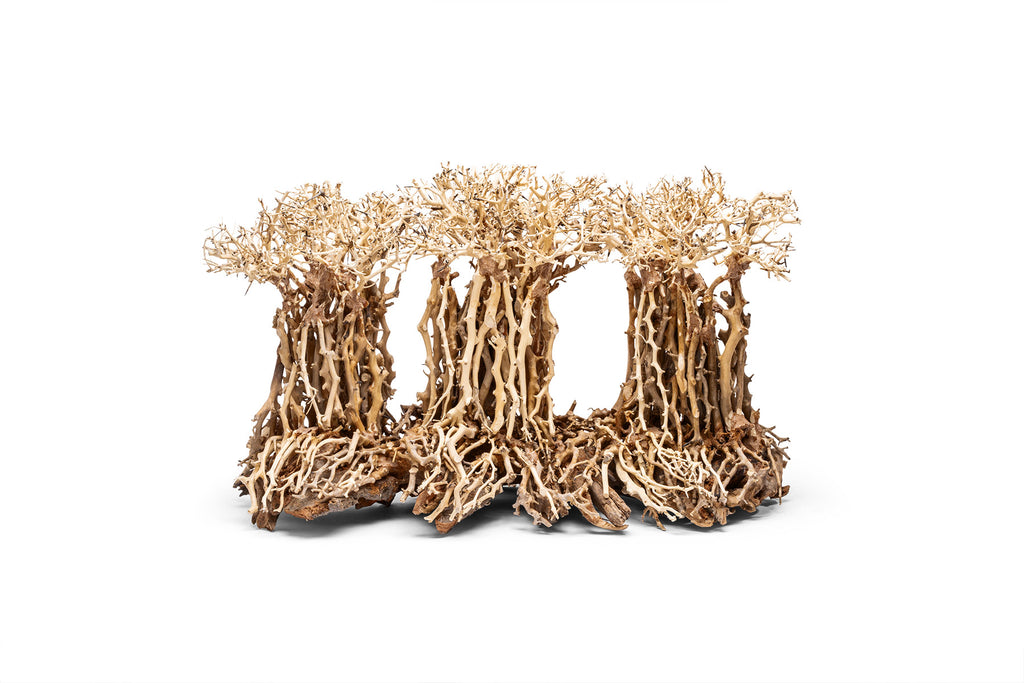 Ultum Nature Systems UNS Bonsai Tree Driftwood Aquarium Hardscape Wood 005