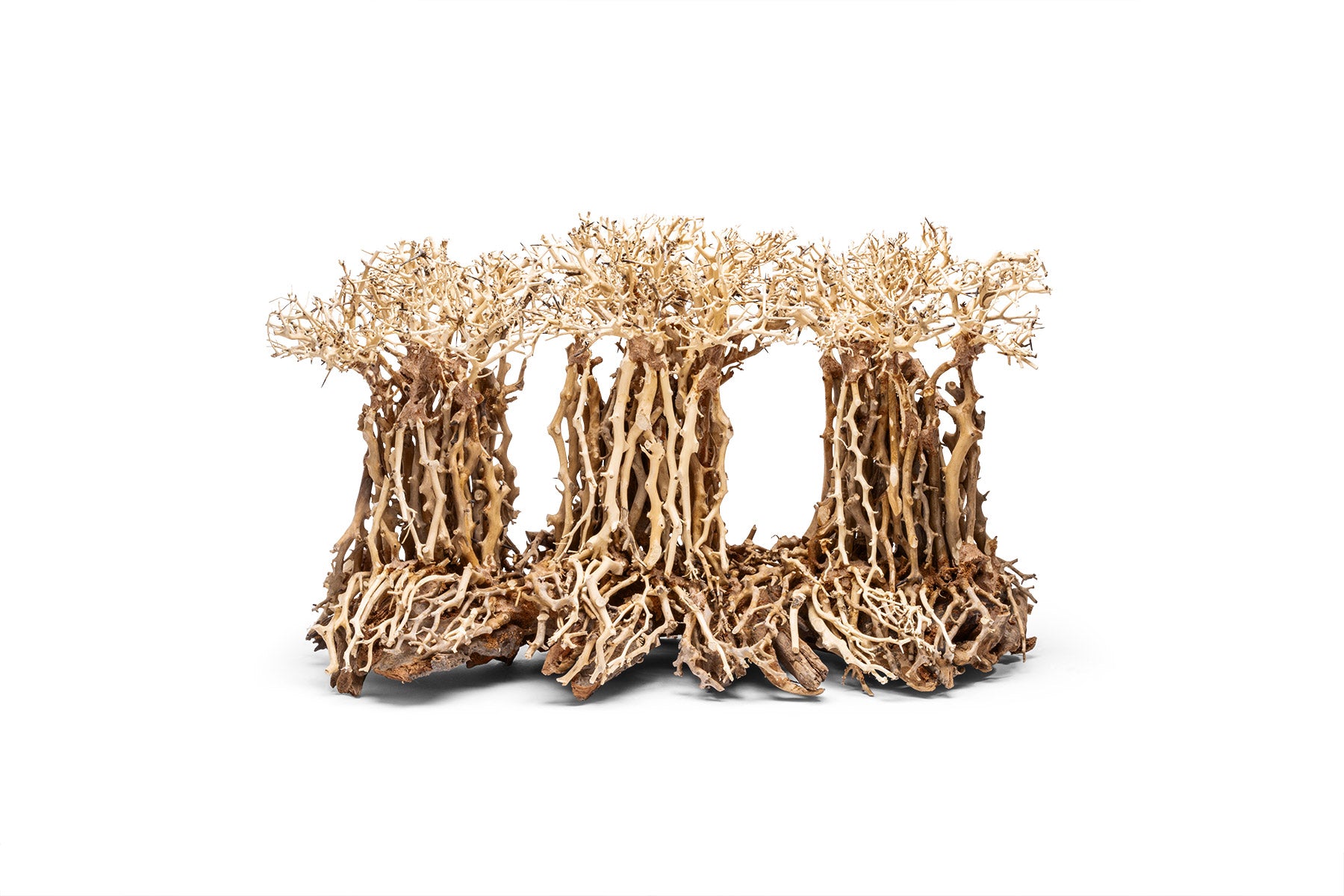 Ultum Nature Systems UNS Bonsai Tree Driftwood Aquarium Hardscape Wood 005