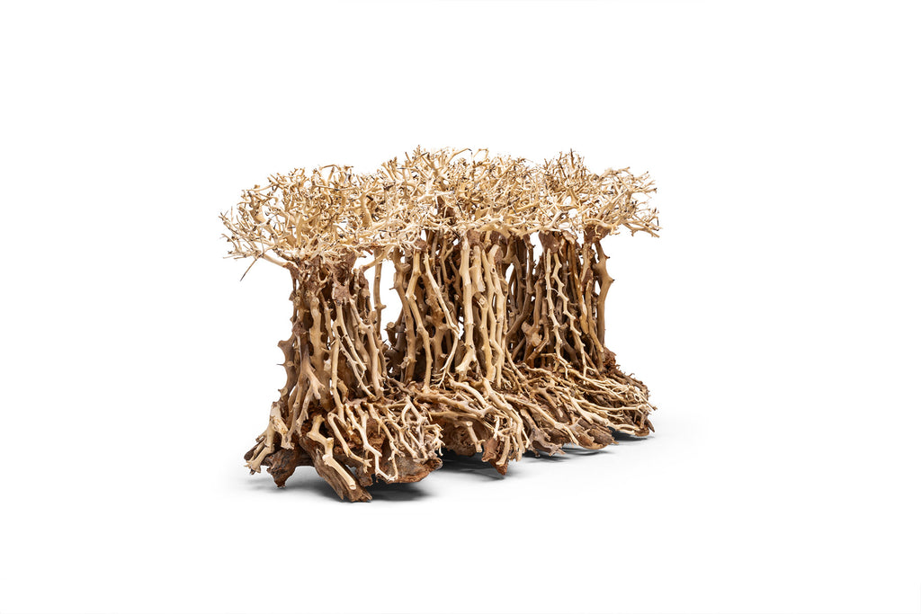 Ultum Nature Systems UNS Bonsai Tree Driftwood Aquarium Hardscape Wood 005