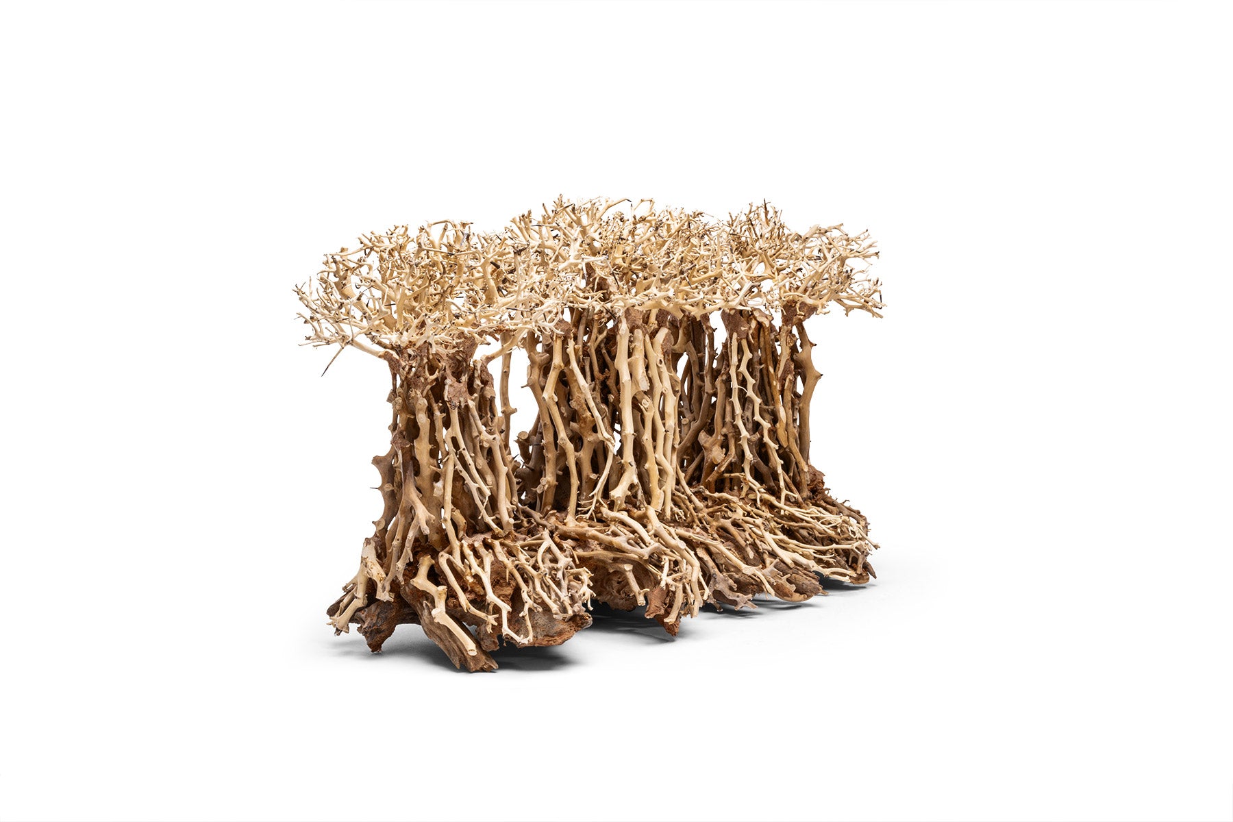 Ultum Nature Systems UNS Bonsai Tree Driftwood Aquarium Hardscape Wood 005