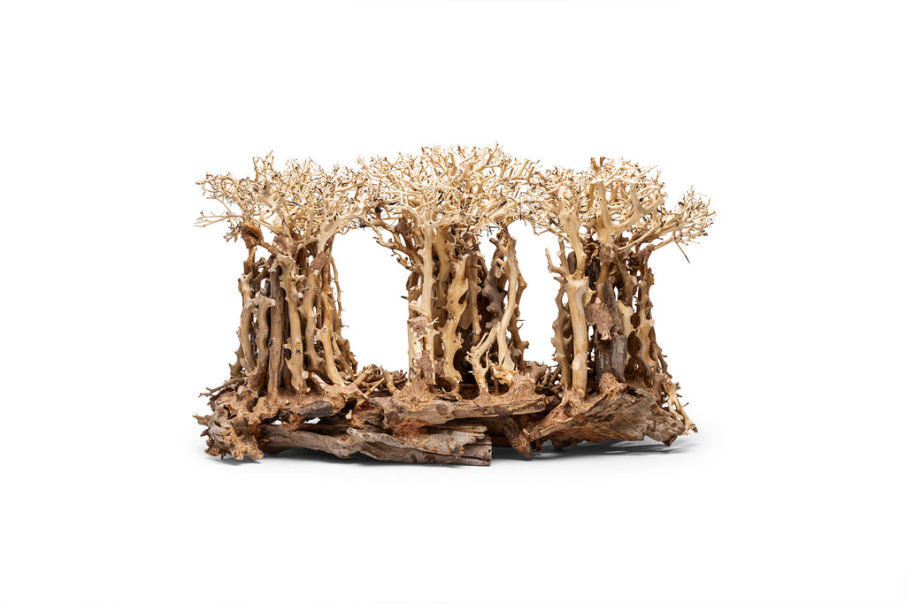 Ultum Nature Systems UNS Bonsai Tree Driftwood Aquarium Hardscape Wood 005