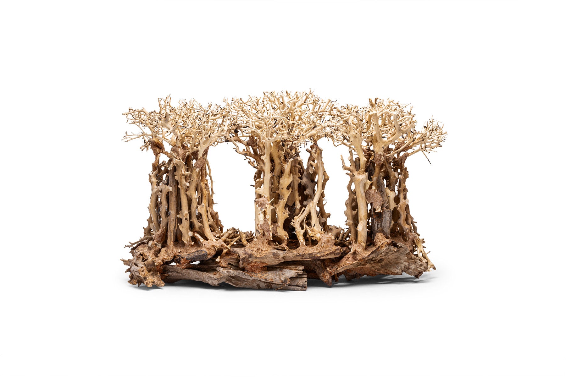 Ultum Nature Systems UNS Bonsai Tree Driftwood Aquarium Hardscape Wood 005