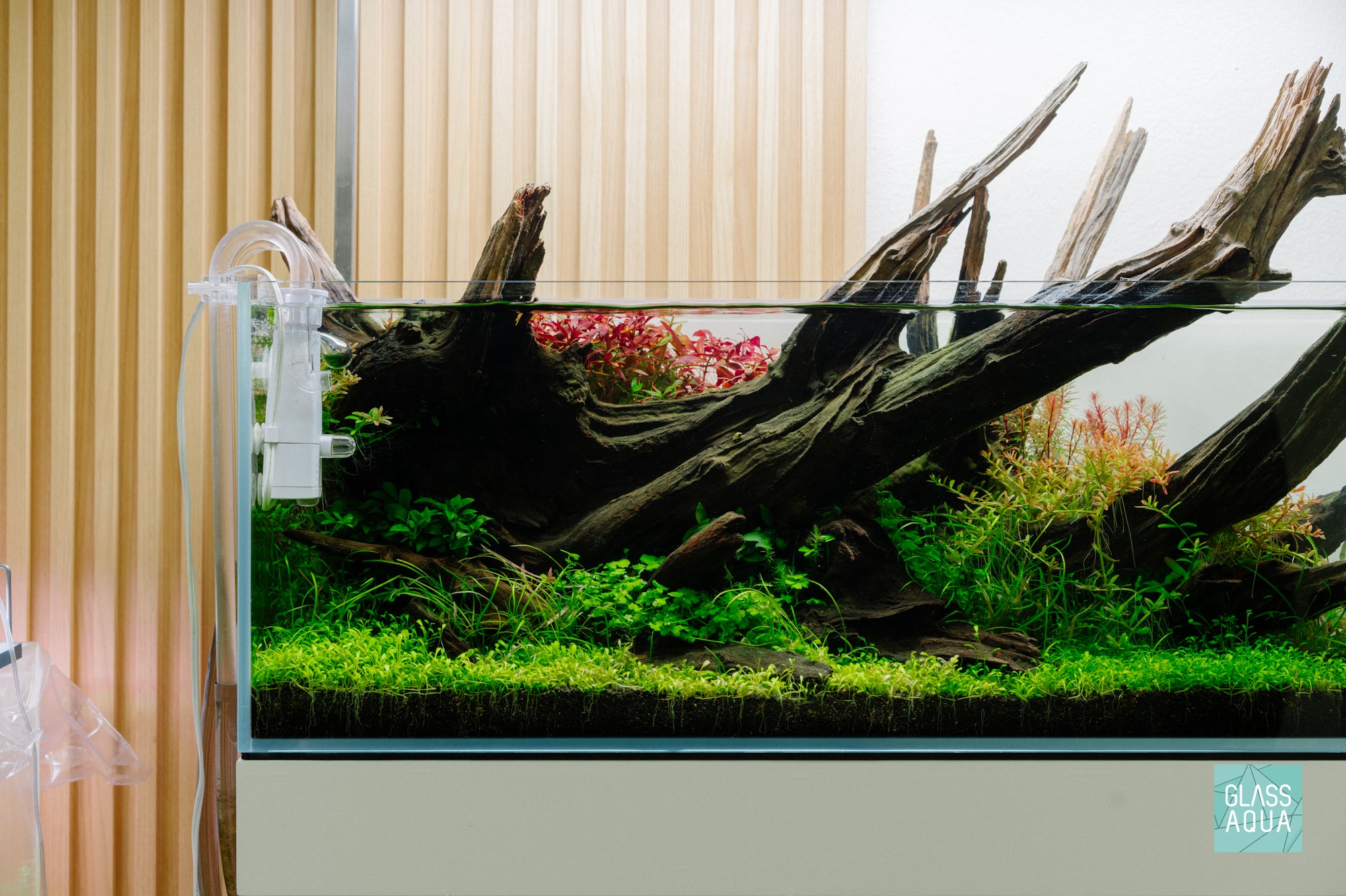 Nature Style aquascape in Ultum Nature Systems 90L long aquarium with Delta Mini surface skimmer