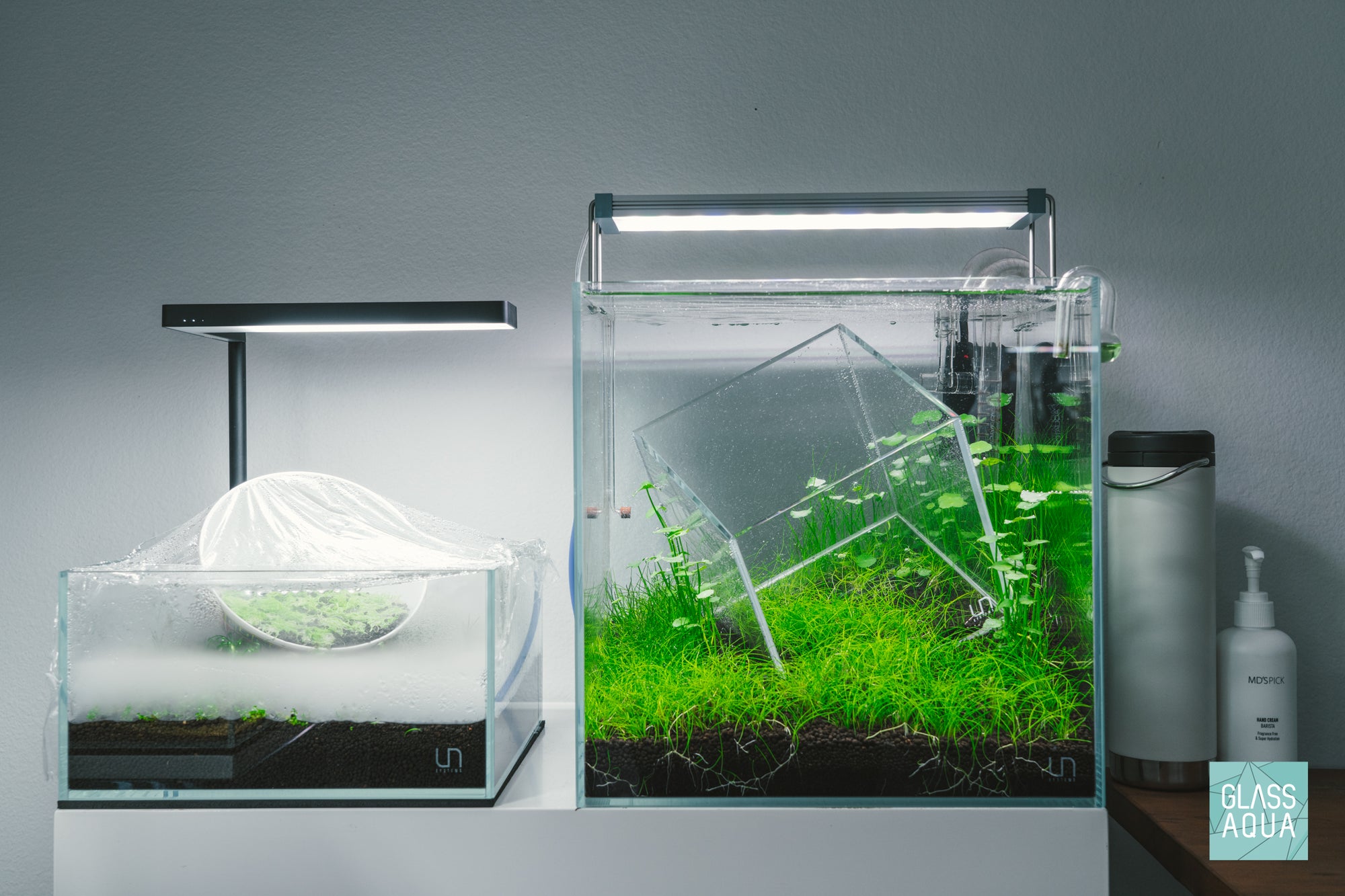 Experimental aquascaping with UNS rimless glass cube aquariums