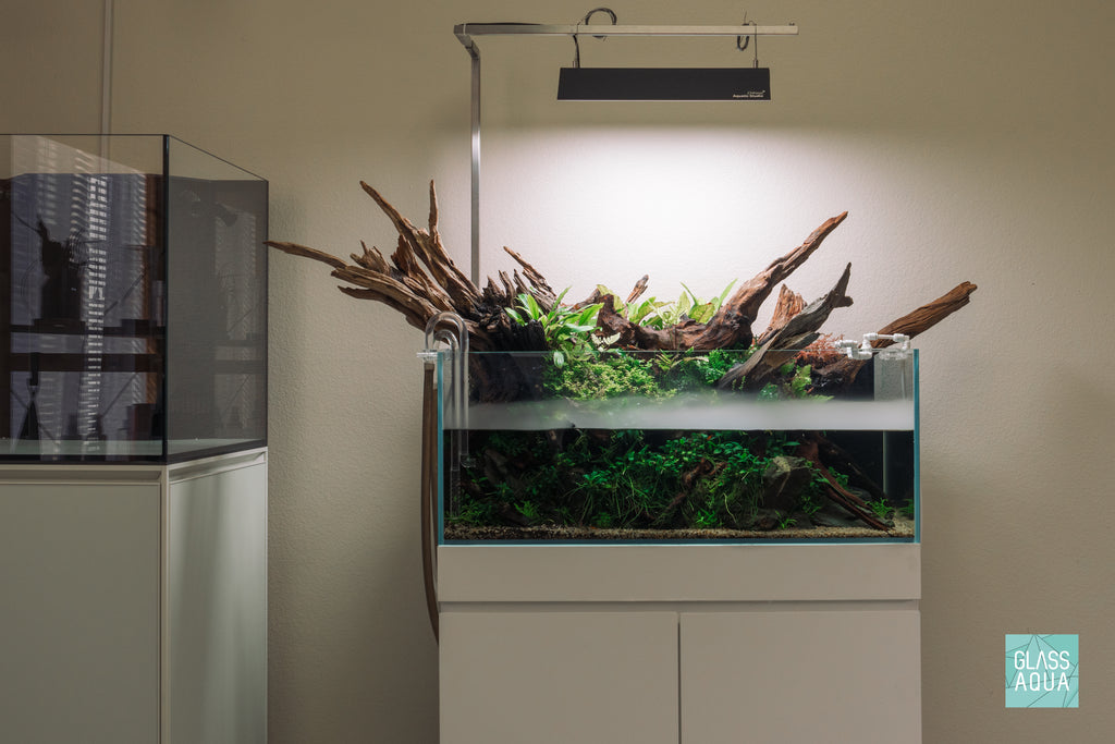 Ultum Nature Systems UNS 75S Shallow Rimless Glass Aquarium Tank Paludarium Aquascape
