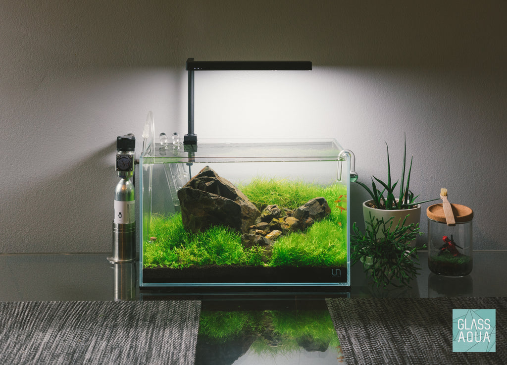 UNS Rimless Nano Glass Aquarium Tank - Glass Aqua