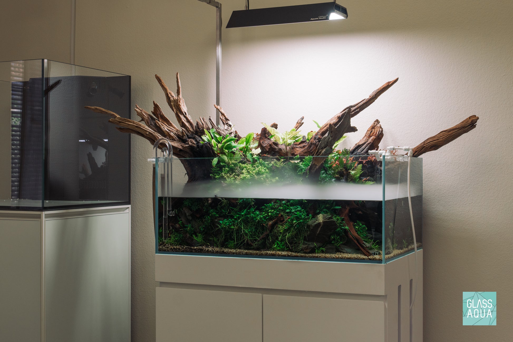 Ultum Nature Systems UNS 75S Shallow planted rimless glass aquarium tank aquascape