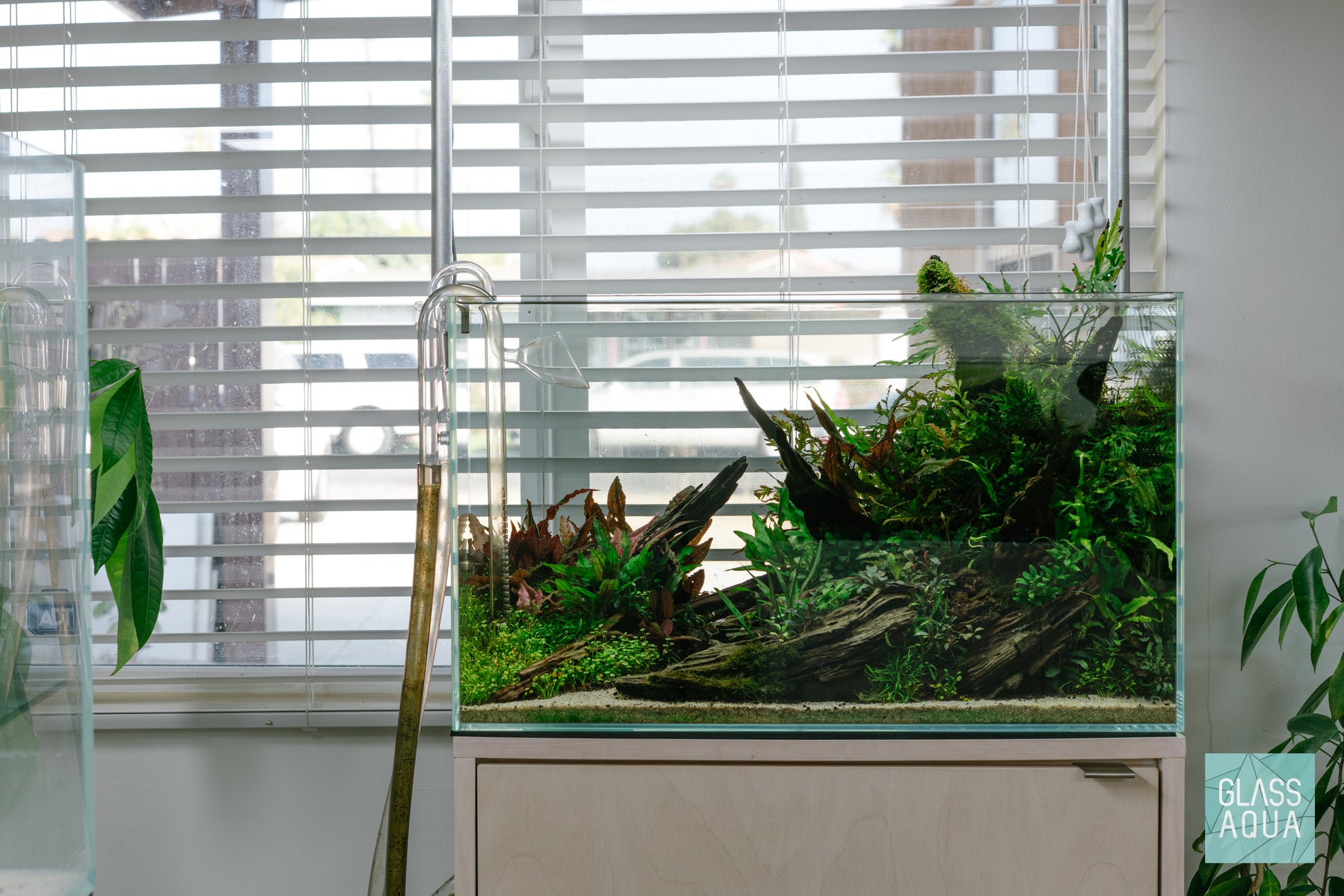 Ultum Nature Systems Rimless Standard Glass Aquarium Tank