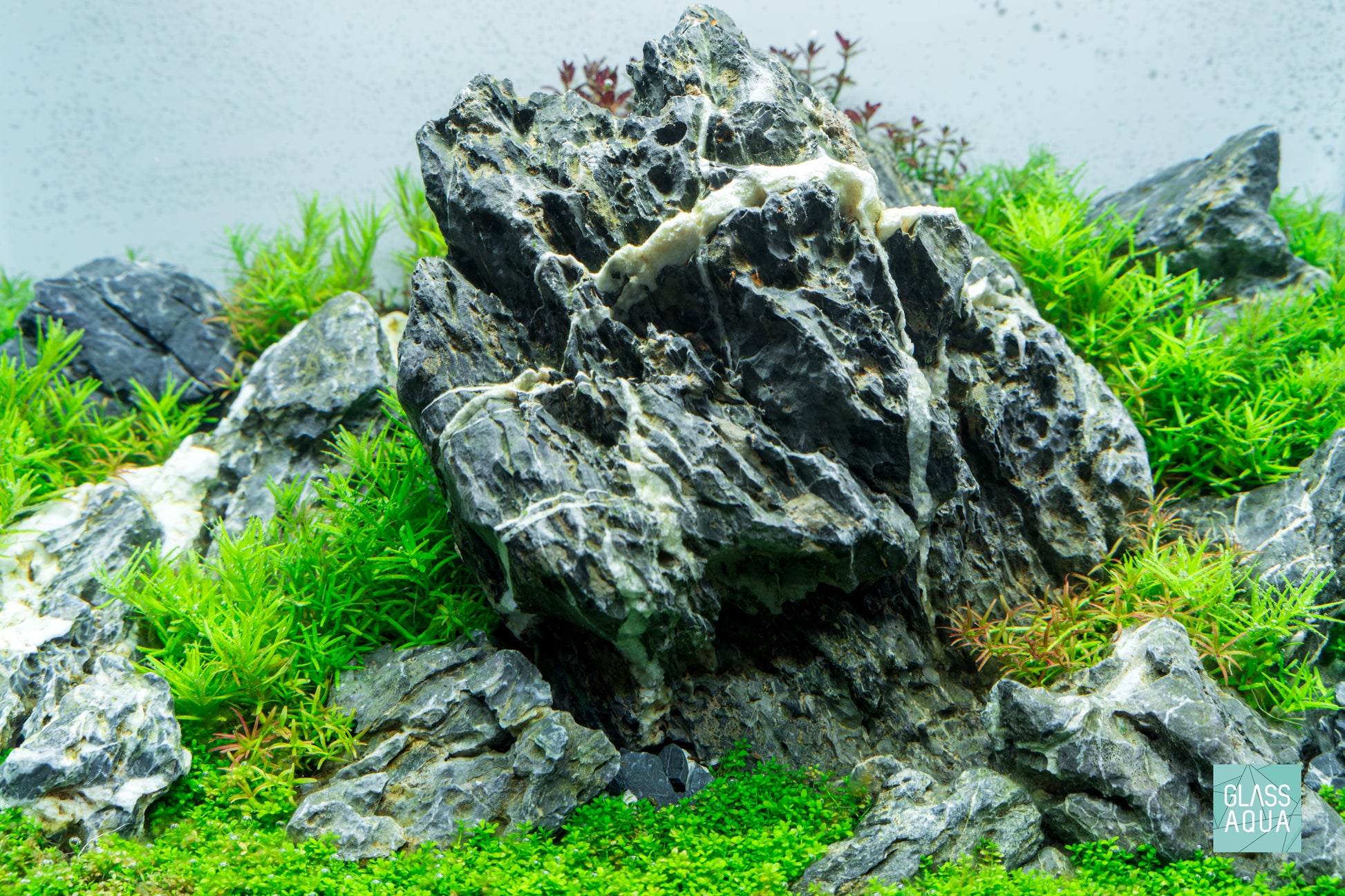 2HR Aquarist APT 1 - Glass Aqua