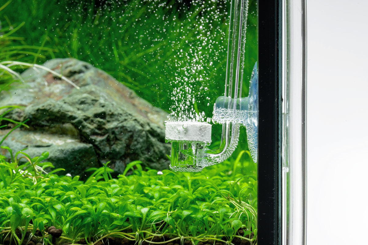 Ultum Nature Systems CO2 Diffuser for Aquatic Plants and Planted Aquariums