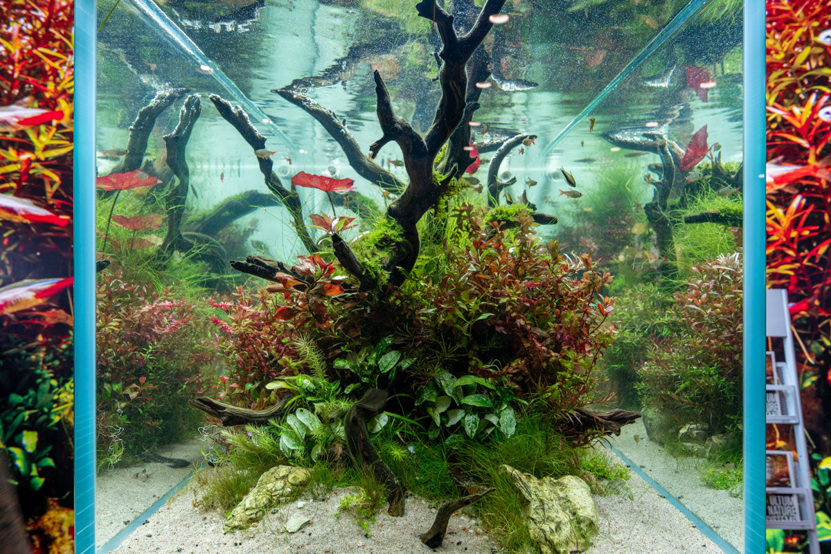 UNS Pro Algae Scraper