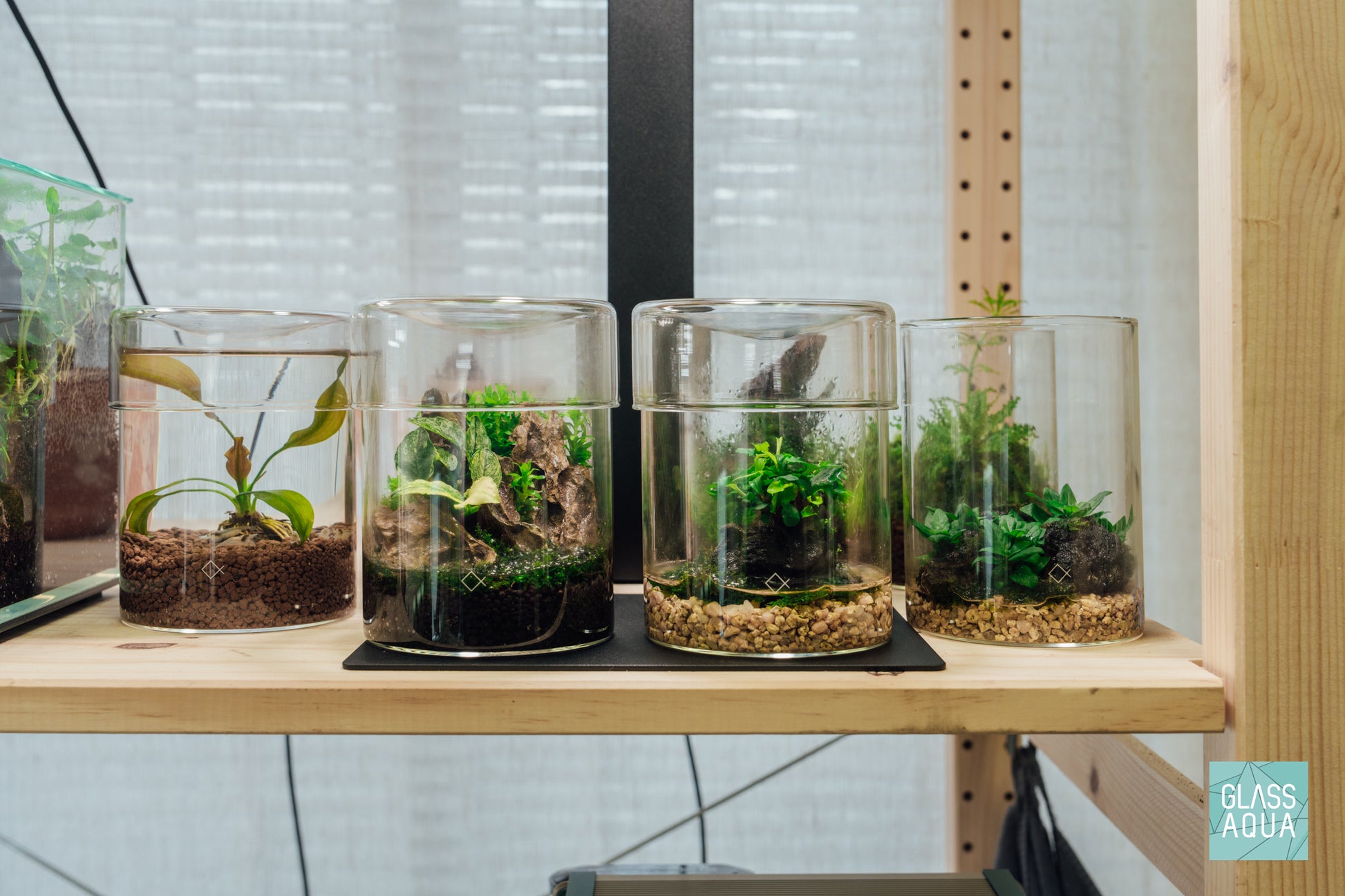 Aqua Worx Iota Terrarium Vivarium Aquarium Plant Cultivation Planter