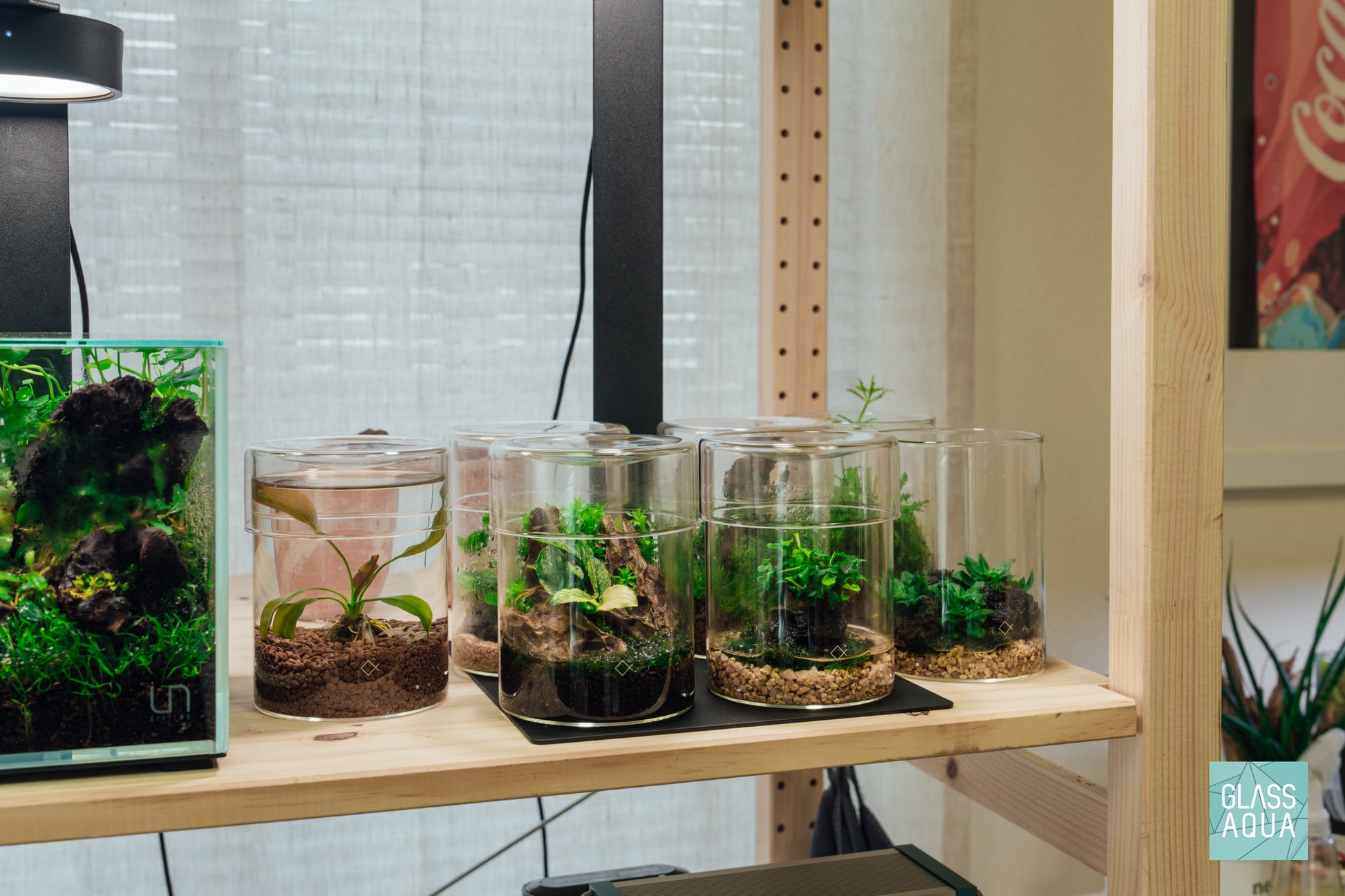 Aqua Worx Iota Terrarium Vivarium Aquarium Plant Cultivation Planter
