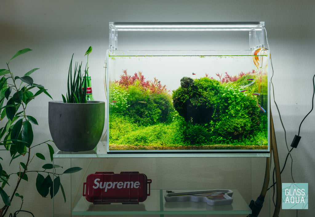 Build Your Own Tool Kit - Aquascaping Tools - Glass Aqua