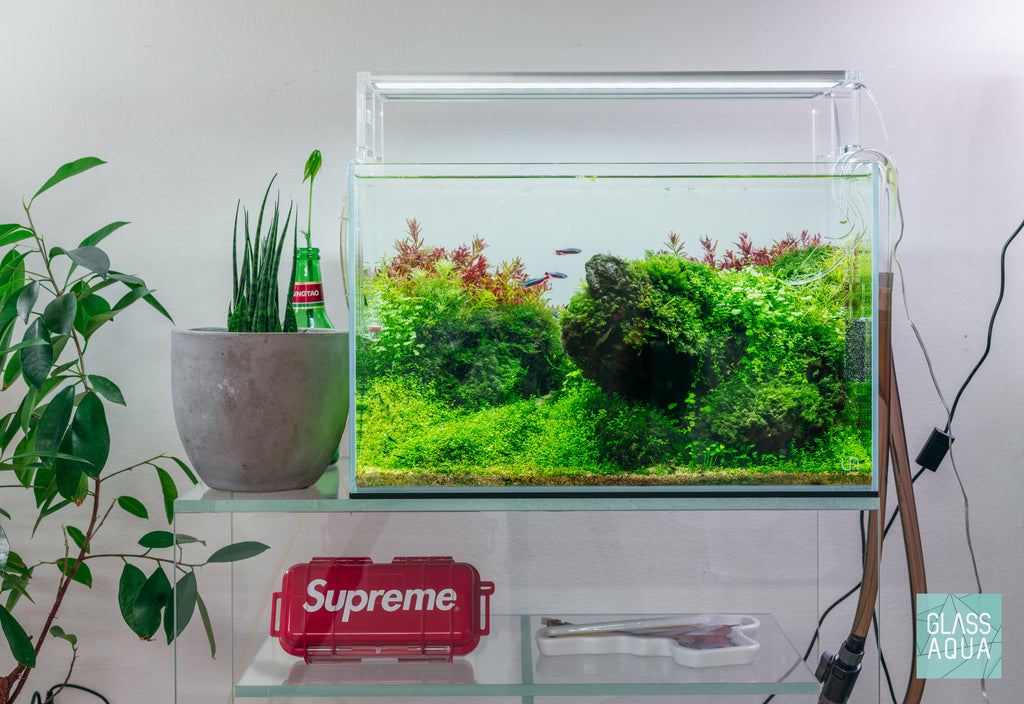 Build Your Own Tool Kit - Aquascaping Tools - Glass Aqua