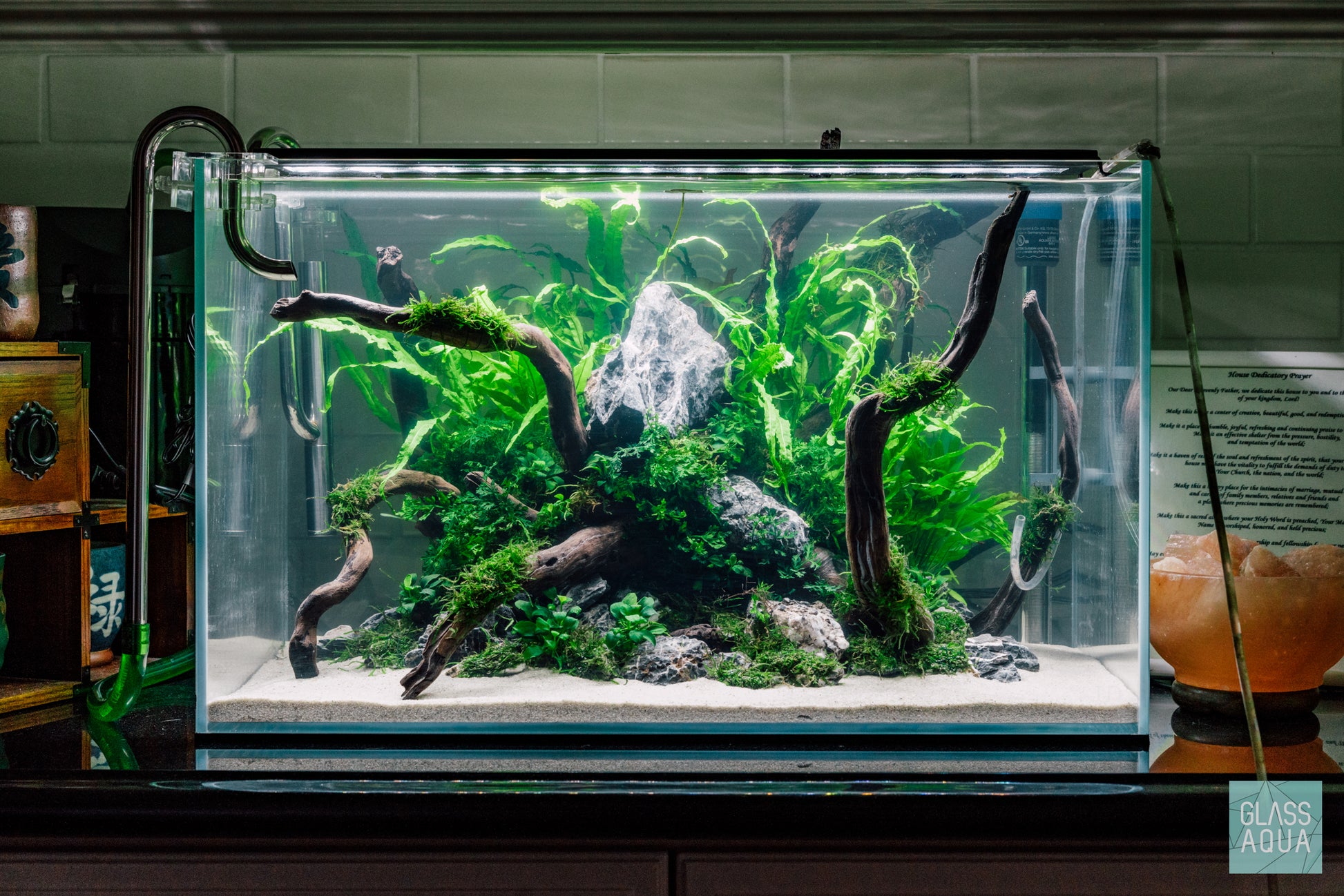 Java Moss Large Mat - Glass Aqua